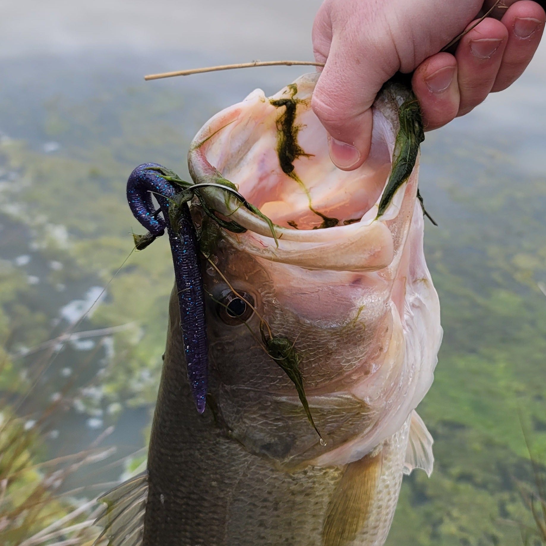 fish stick lure Fish Sticks – Dad Fish Tackle