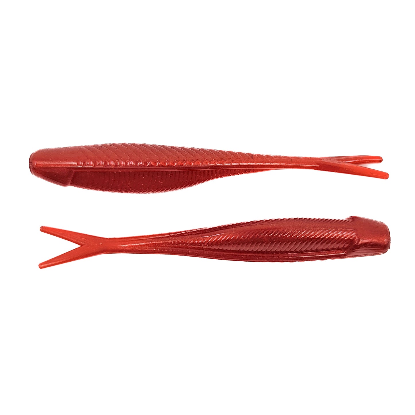 Sly Minnow
