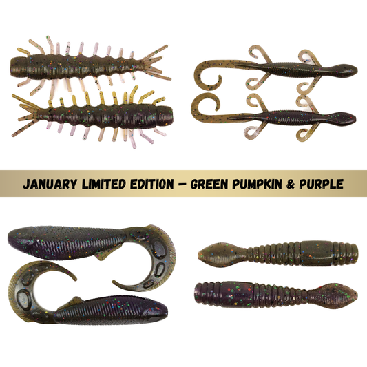 Green Pumpkin & Purple January Limited Edition